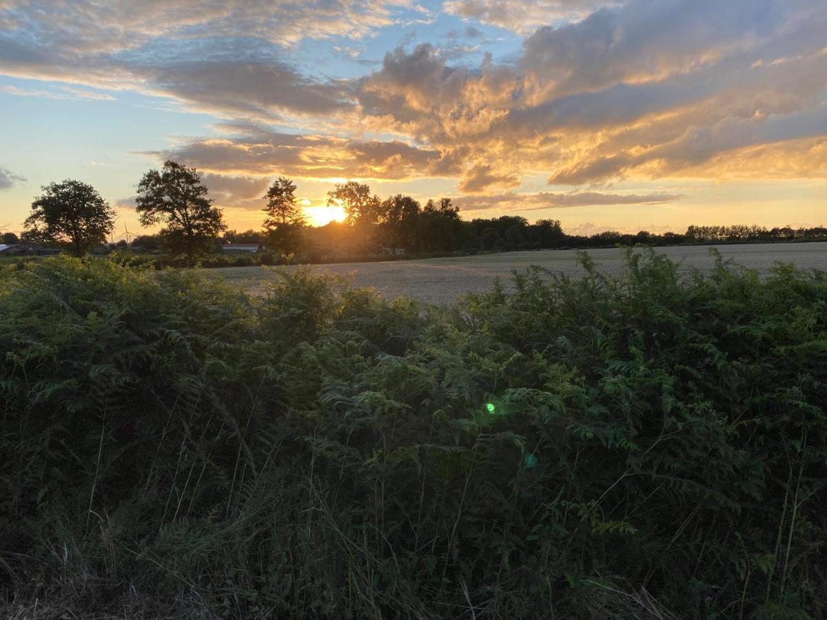 Huck’s Ferienhäuser Borstel  Exteriör bild